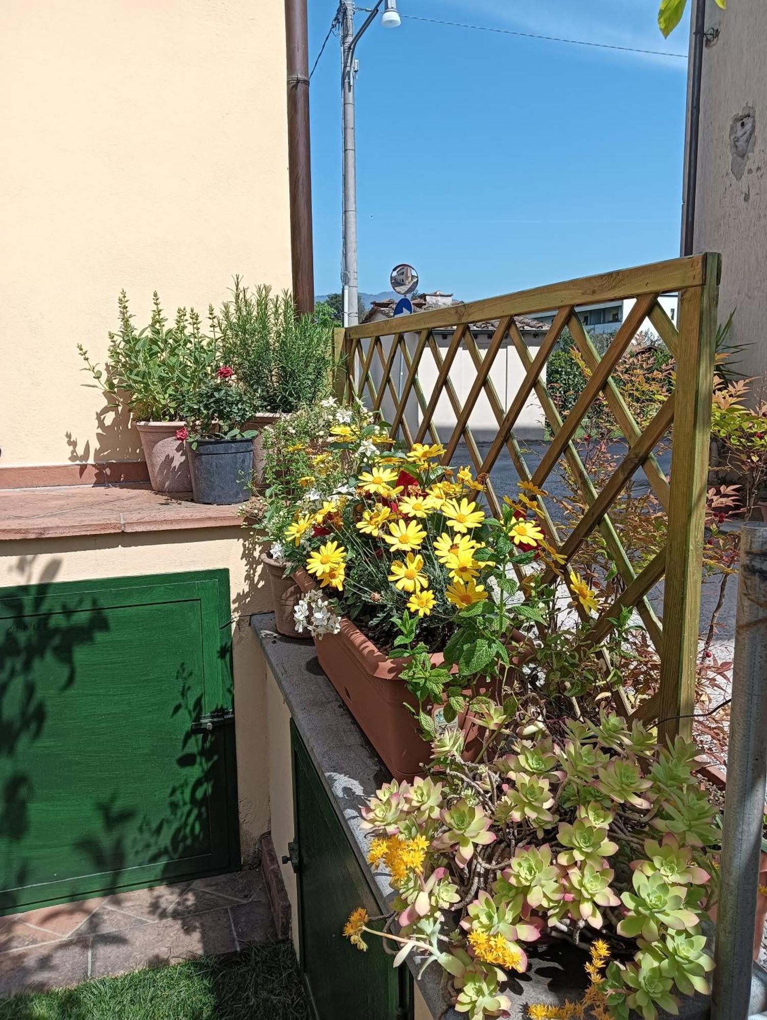 Casa Vacanze Rustico Di Corte Capannori Eksteriør bilde